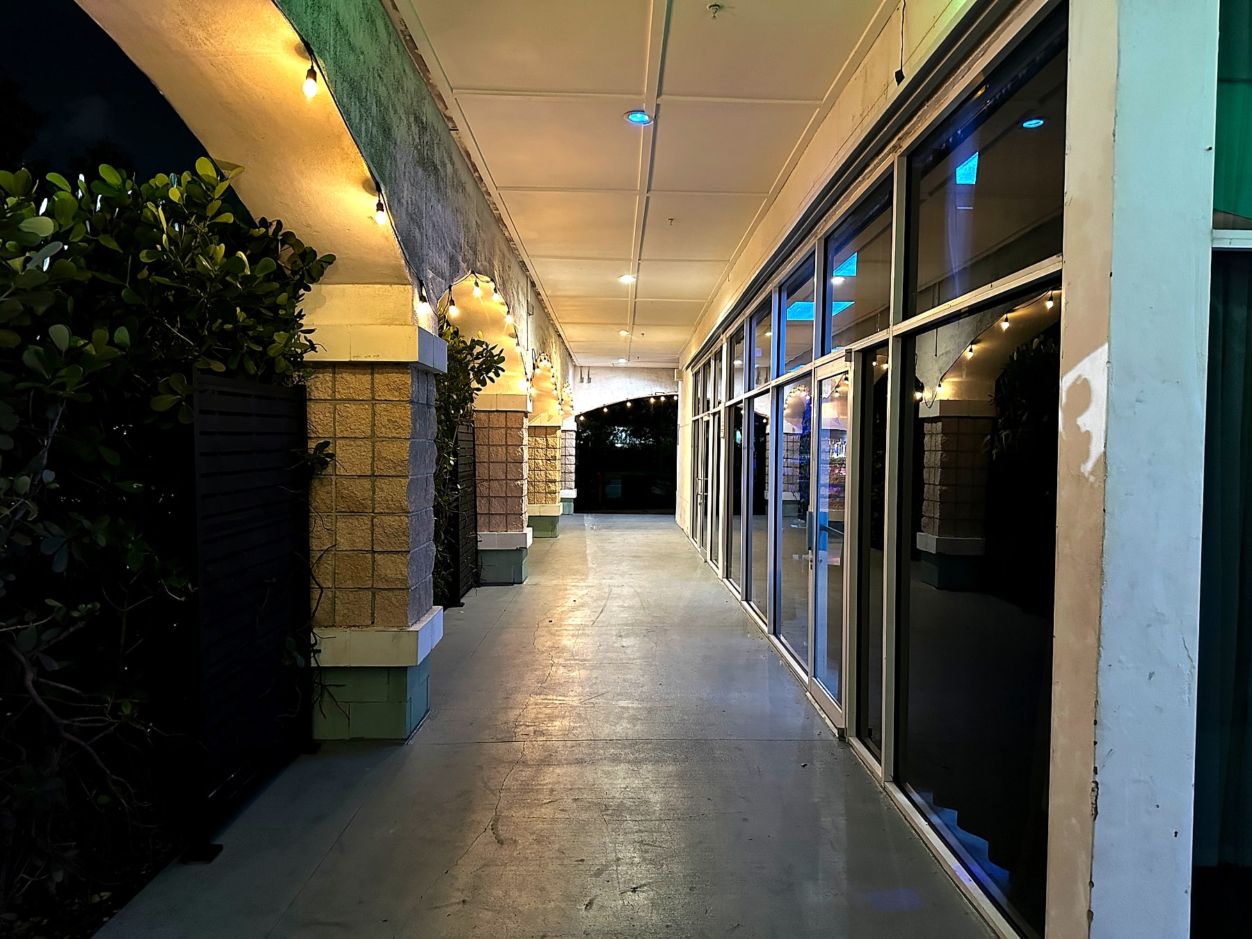 The string-lit entrance walkway to Argo Lounge at night